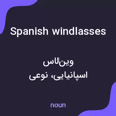 معنی spanish windlasses به فارسی معنی spanish windlasses به فارسی