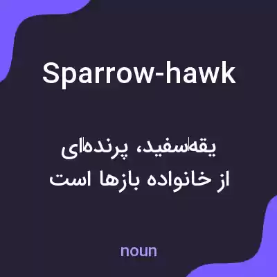 معنی sparrow-hawk به فارسی معنی sparrow-hawk به فارسی