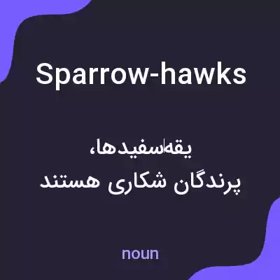معنی sparrow-hawks به فارسی معنی sparrow-hawks به فارسی
