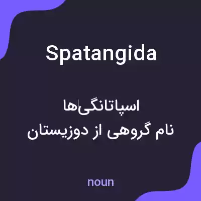 معنی spatangida به فارسی معنی spatangida به فارسی