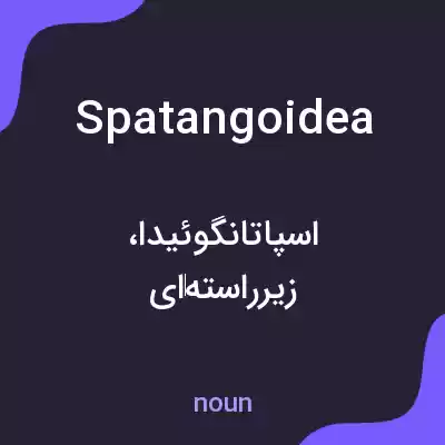 معنی spatangoidea به فارسی معنی spatangoidea به فارسی