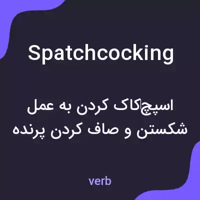 معنی spatchcocking به فارسی معنی spatchcocking به فارسی