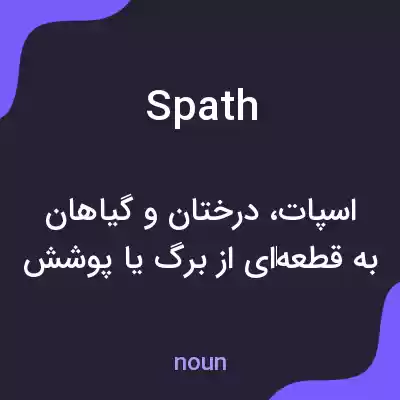 معنی spath به فارسی