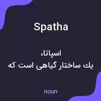 معنی spatha به فارسی معنی spatha به فارسی