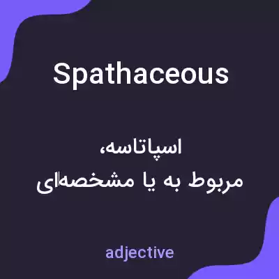 معنی spathaceous به فارسی معنی spathaceous به فارسی