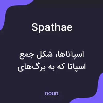 معنی spathae به فارسی معنی spathae به فارسی
