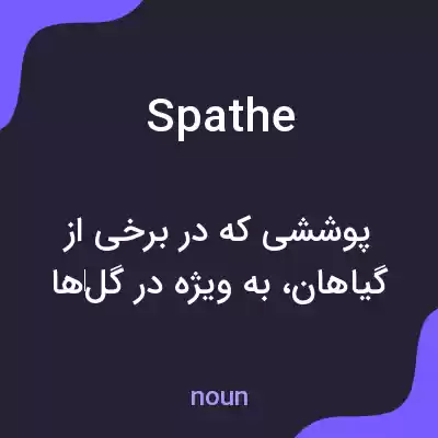 معنی spathe به فارسی معنی spathe به فارسی