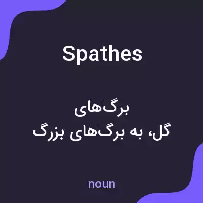 معنی spathes به فارسی معنی spathes به فارسی