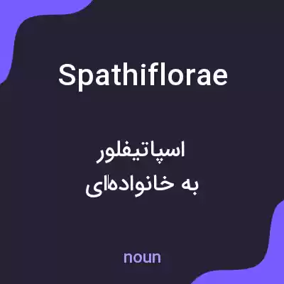 معنی spathiflorae به فارسی معنی spathiflorae به فارسی