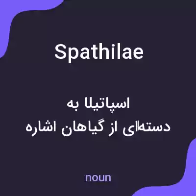 معنی spathilae به فارسی معنی spathilae به فارسی