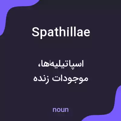 معنی spathillae به فارسی