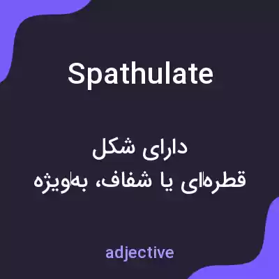 معنی spathulate به فارسی معنی spathulate به فارسی