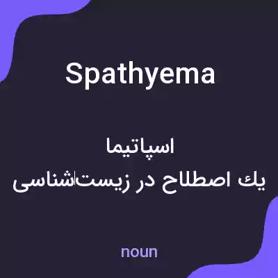 معنی spathyema به فارسی معنی spathyema به فارسی