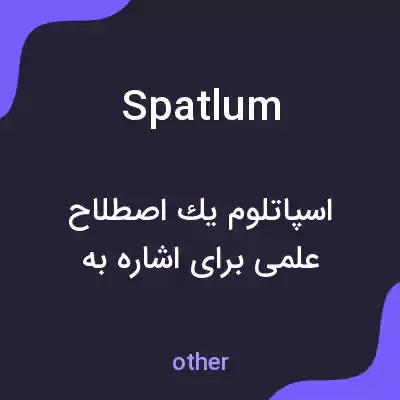 معنی spatlum به فارسی معنی spatlum به فارسی