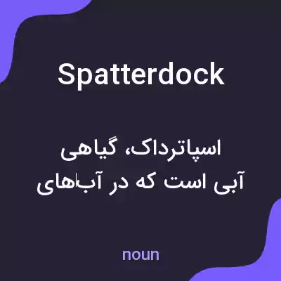 معنی spatterdock به فارسی معنی spatterdock به فارسی