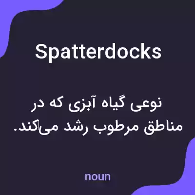 معنی spatterdocks به فارسی معنی spatterdocks به فارسی
