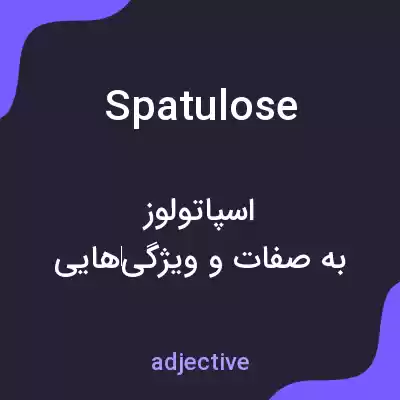 معنی spatulose به فارسی معنی spatulose به فارسی
