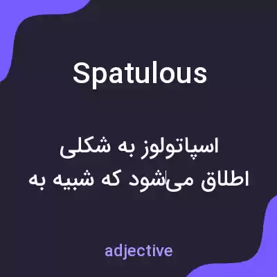 معنی spatulous به فارسی معنی spatulous به فارسی