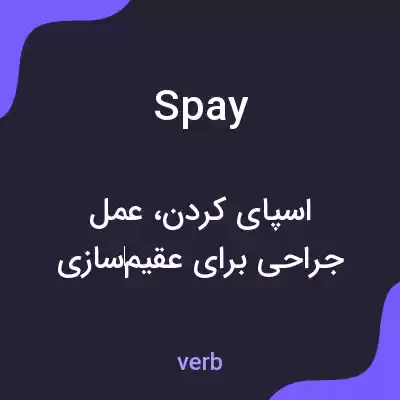 معنی spay به فارسی معنی spay به فارسی