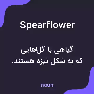 معنی spearflower به فارسی معنی spearflower به فارسی