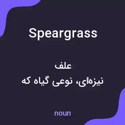 معنی speargrass به فارسی معنی speargrass به فارسی