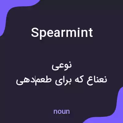 معنی spearmint به فارسی معنی spearmint به فارسی
