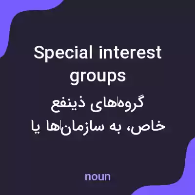 معنی special interest groups به فارسی معنی special interest groups به فارسی