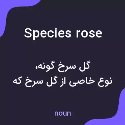 معنی species rose به فارسی معنی species rose به فارسی