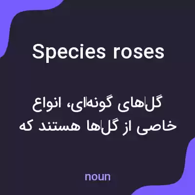 معنی species roses به فارسی معنی species roses به فارسی