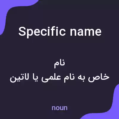 معنی specific name به فارسی معنی specific name به فارسی