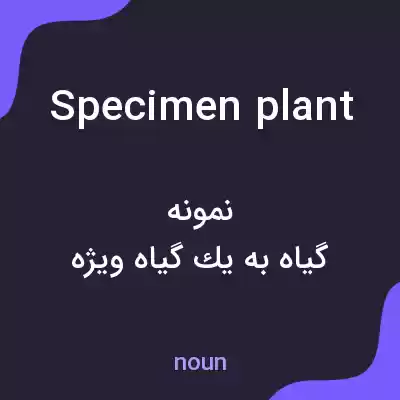معنی specimen plant به فارسی معنی specimen plant به فارسی
