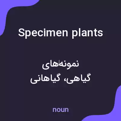 معنی specimen plants به فارسی معنی specimen plants به فارسی