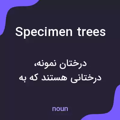 معنی specimen trees به فارسی معنی specimen trees به فارسی