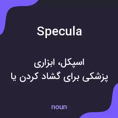 معنی specula به فارسی