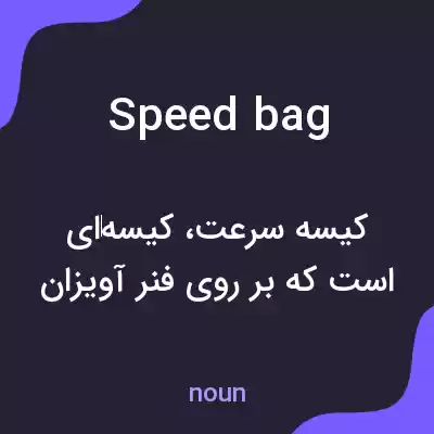 معنی speed bag به فارسی معنی speed bag به فارسی