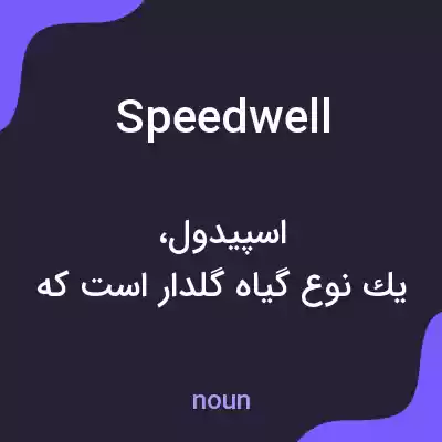 معنی speedwell به فارسی معنی speedwell به فارسی