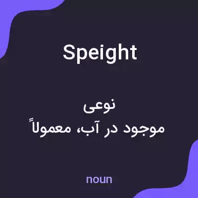 معنی speight به فارسی معنی speight به فارسی