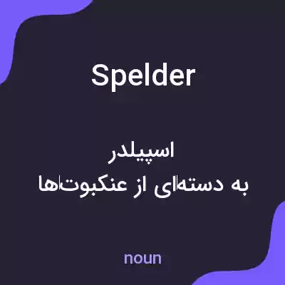 معنی spelder به فارسی معنی spelder به فارسی