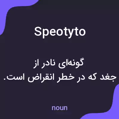 معنی speotyto به فارسی معنی speotyto به فارسی