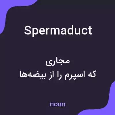 معنی spermaduct به فارسی معنی spermaduct به فارسی
