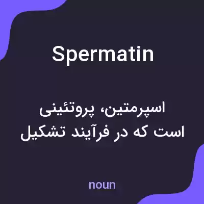 معنی spermatin به فارسی معنی spermatin به فارسی