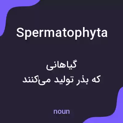 معنی spermatophyta به فارسی معنی spermatophyta به فارسی