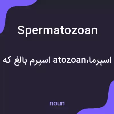 معنی spermatozoan به فارسی معنی spermatozoan به فارسی