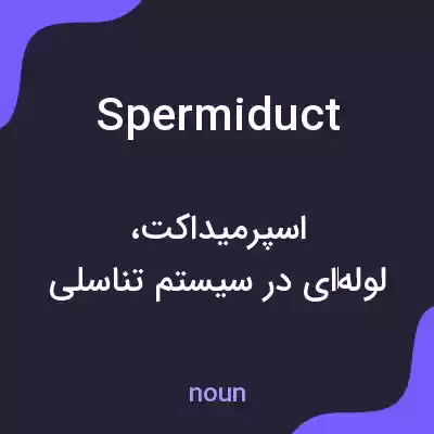 معنی spermiduct به فارسی معنی spermiduct به فارسی