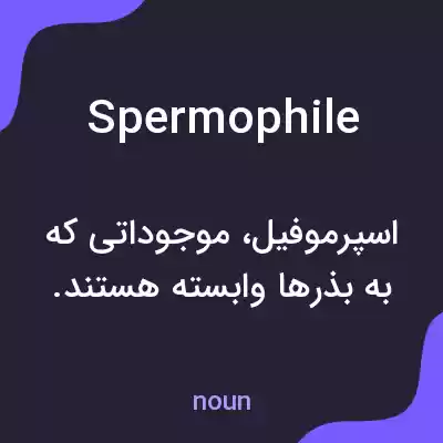 معنی spermophile به فارسی معنی spermophile به فارسی