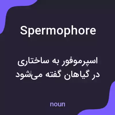 معنی spermophore به فارسی معنی spermophore به فارسی