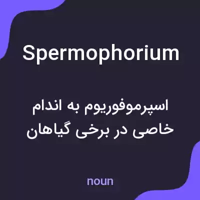 معنی spermophorium به فارسی معنی spermophorium به فارسی