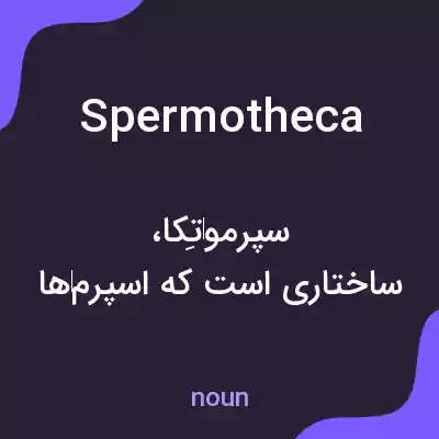معنی spermotheca به فارسی معنی spermotheca به فارسی