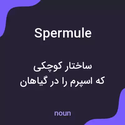 معنی spermule به فارسی معنی spermule به فارسی