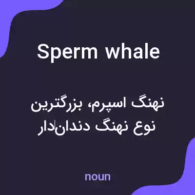 معنی sperm whale به فارسی معنی sperm whale به فارسی